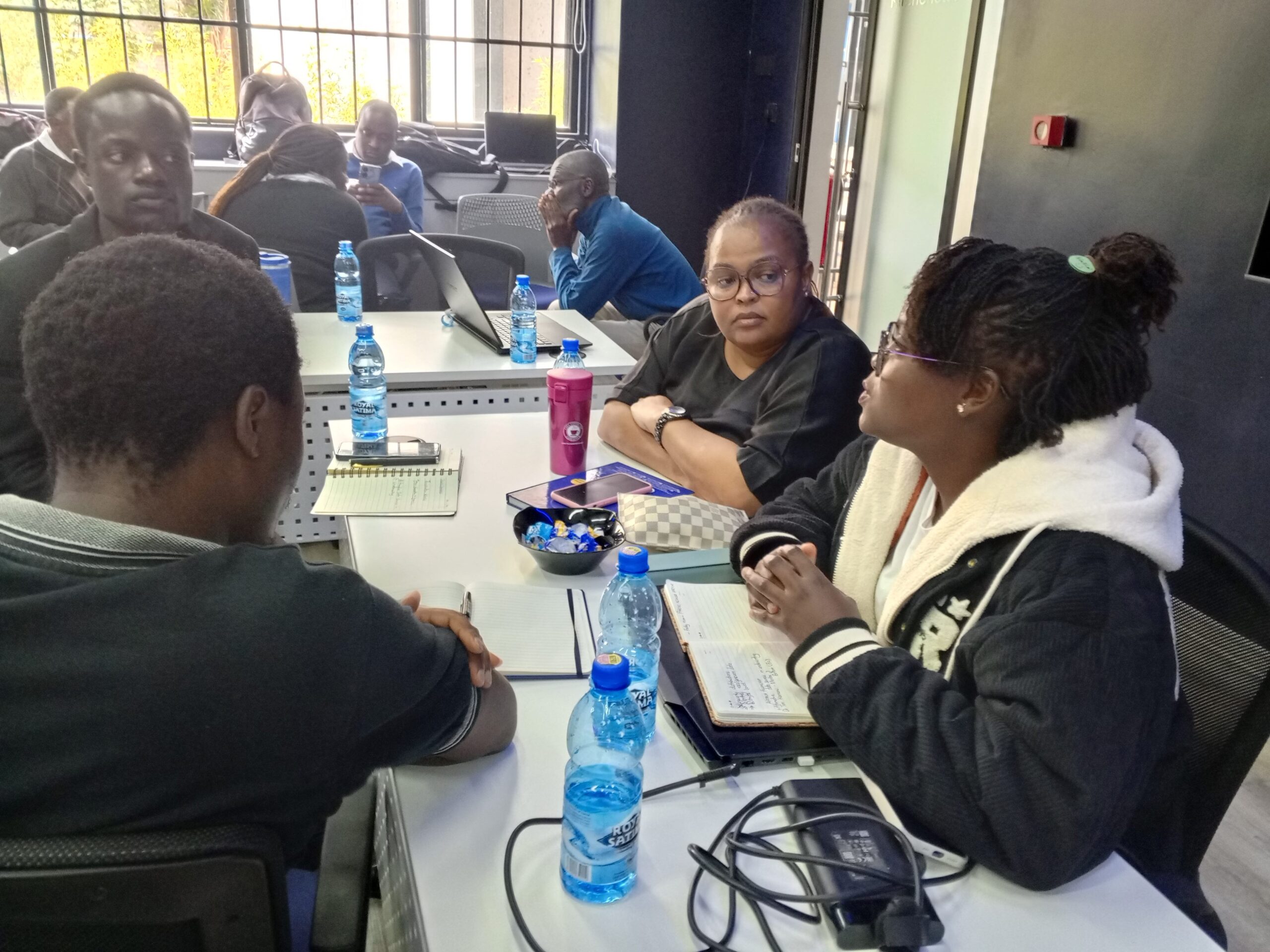 Innovation Fellowship Project Planning Session
